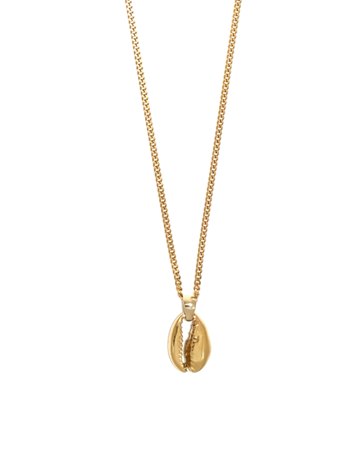 Cowrie Seashell Pendant Necklace