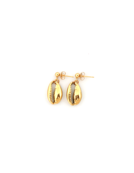 Cowrie Seashell Earrings