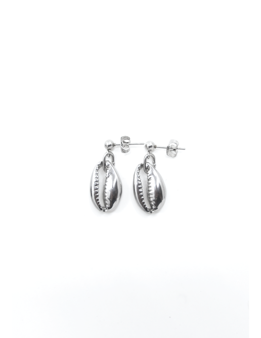 Cowrie Seashell Earrings